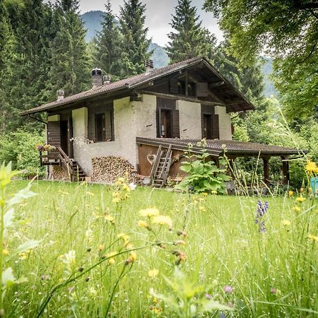Chalet Silenthia Villa Lenzumo di Concei Exterior foto