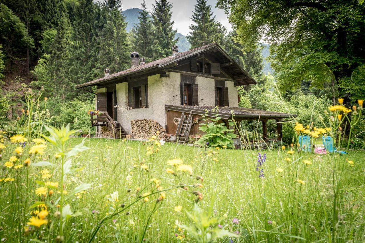 Chalet Silenthia Villa Lenzumo di Concei Exterior foto