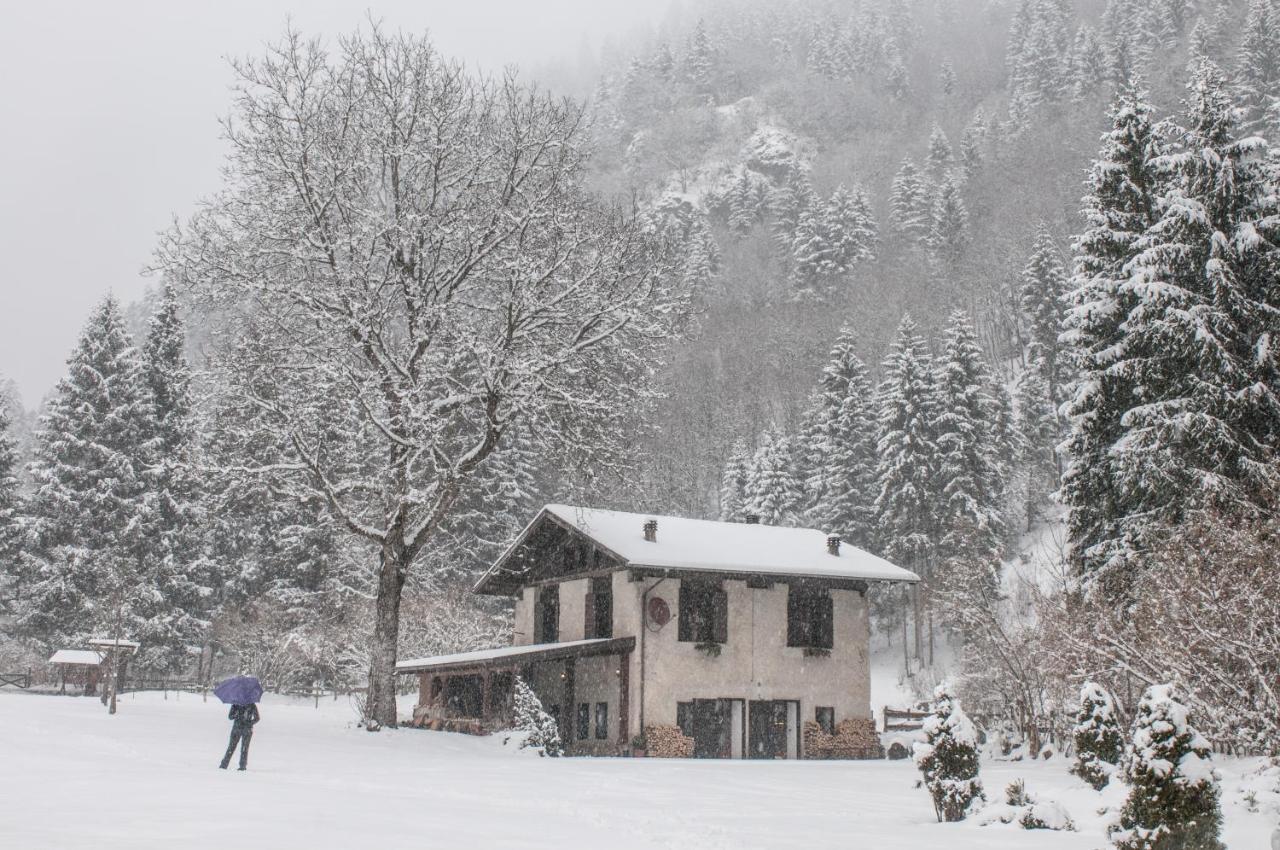 Chalet Silenthia Villa Lenzumo di Concei Exterior foto
